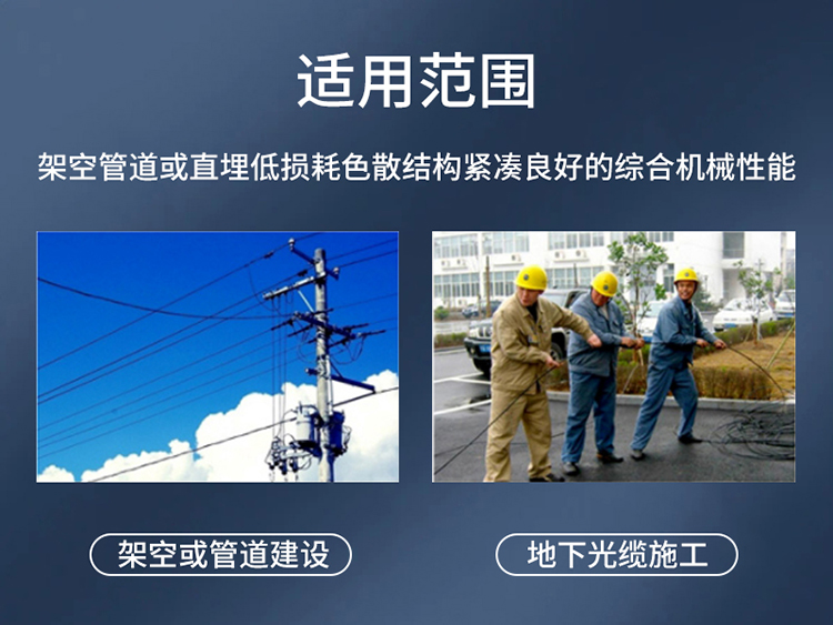 訊浦 GYTZA53 4芯-96芯光纜 阻燃直埋光纜 100米起售，可整軸訂做_http://oann34.cn_所有產(chǎn)品_第7張