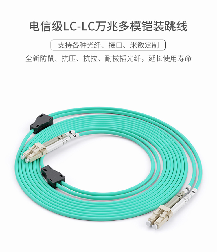 訊浦 萬(wàn)兆多模鎧裝跳線 防鼠咬光纖跳線 雙芯LC-LC跳線 50/125 3米~100米_http://oann34.cn_所有產(chǎn)品_第1張