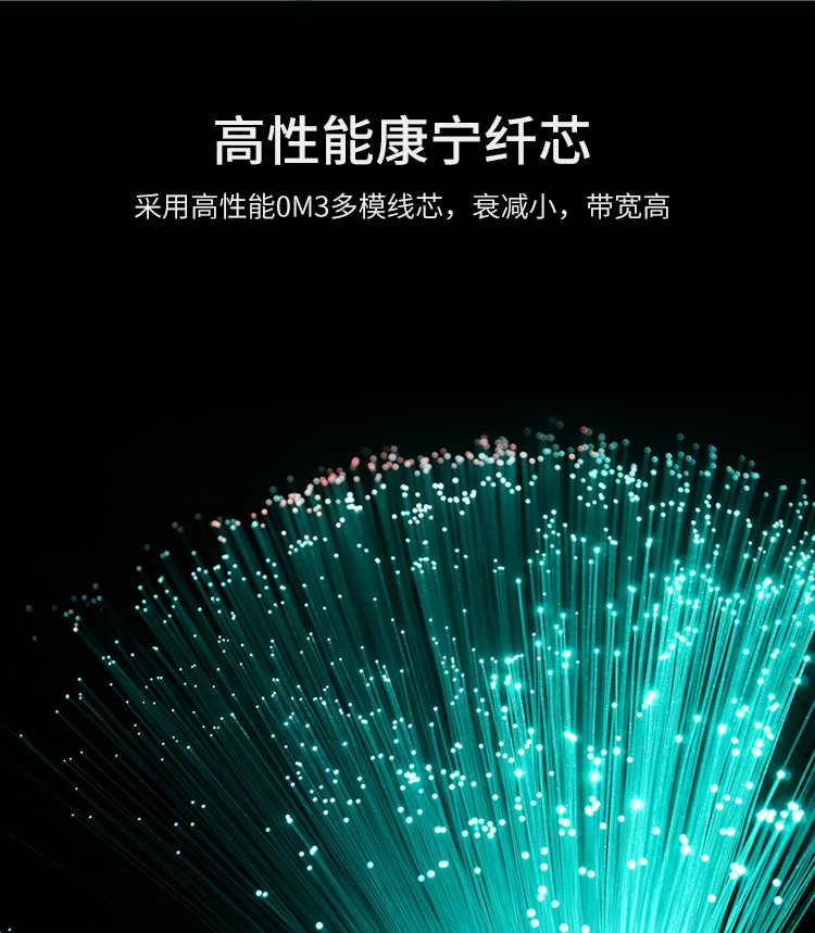 訊浦 萬兆多模光纖跳線LC-LC OM3一管雙芯拉桿推拉式尾纖3米~15米_http://oann34.cn_所有產品_第7張